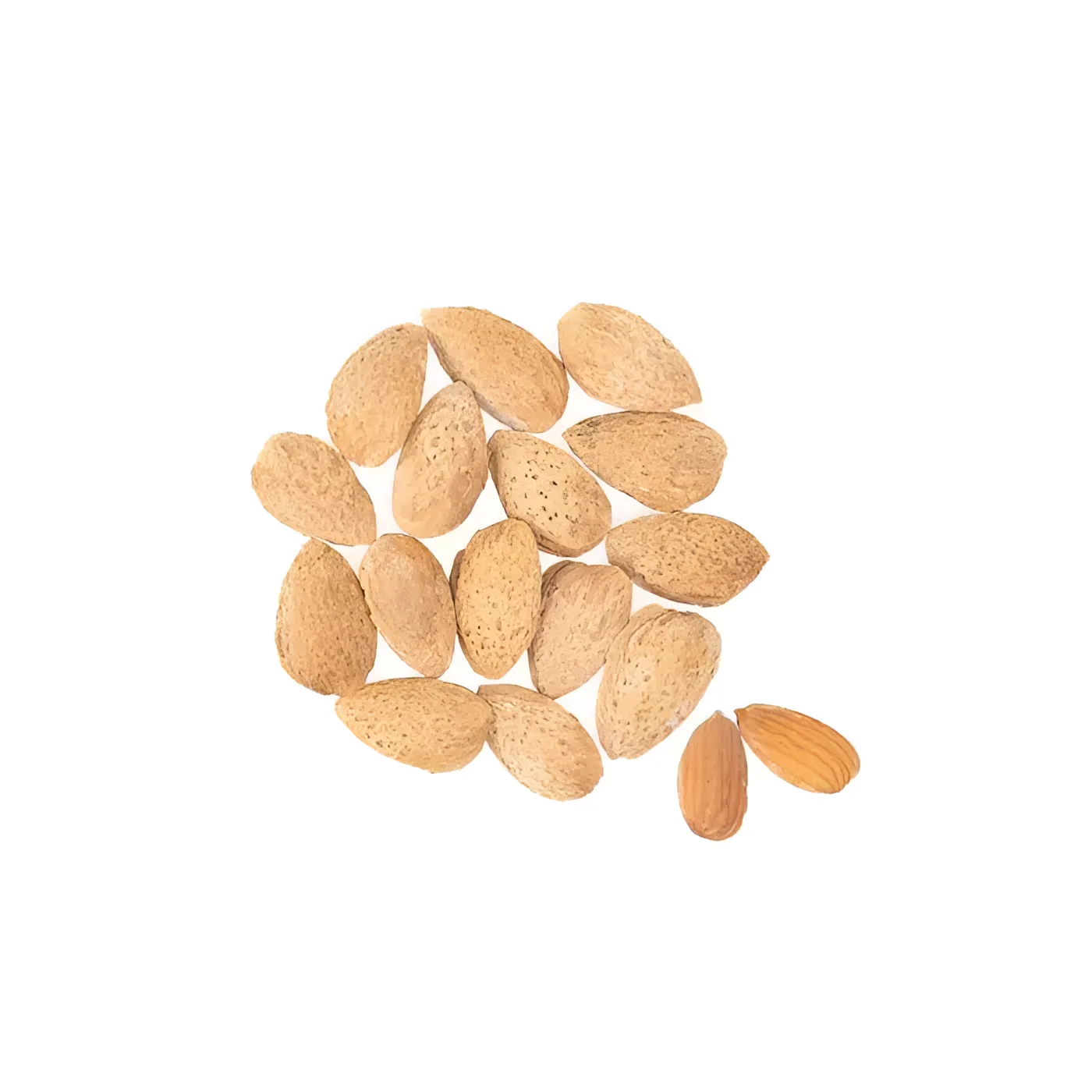 ALMONDS IN SHELL SALTED